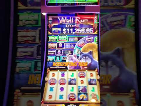 Ellis Island slots #vegasirl #vegas #casino #lasvegas #slot