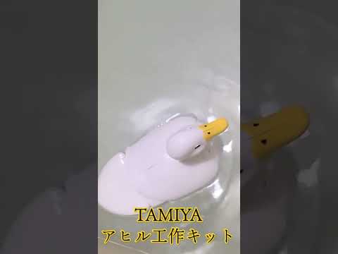 泳ぐアヒルのプラモデル