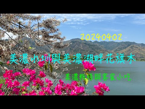 萬ㄟeye台灣20240402美濃水圳與美濃湖畔花旗木   4K