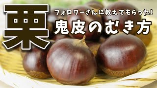 フォロワーさんに聞いた！栗の鬼皮を簡単にむく方法【いいね思ったら、コメント「👍」で教えてね😆】#Shorts