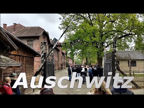 An EMOTIONAL JOURNEY to AUCHWITZ - A Heart-breaking experience