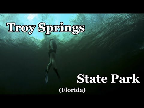 Visiting Troy Springs State Park!