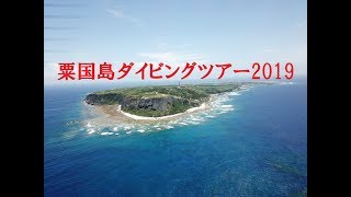 粟国島ダイビングツアー2019・ディーズパルス沖縄