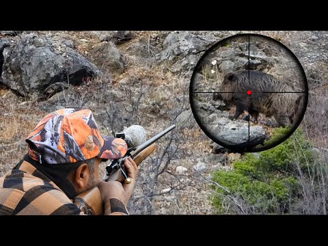 INCREDIBLE Long-Range Wild Boar Hunting Shots, Amazing Bullet Vapour Trails! #hunting #hog