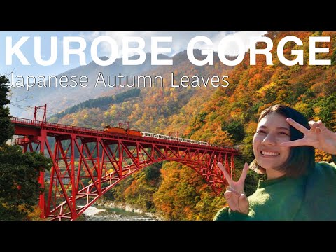 TOYAMA🇯🇵 The beautiful autumn leaves in Kurobe Gorge🍁 Japan Travel Vlog