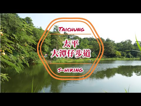 微解封-S步道｜台中｜大潭仔步道｜碧翠綠潭釣客最愛｜太平區