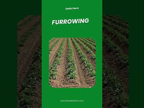 FURROWING - Gardening Word of the Day #gardeningadvice #garden #gardentipsandtricks #gardeningtips