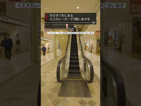 『サンライズワールドTOKYO』すぐに分かる道案内