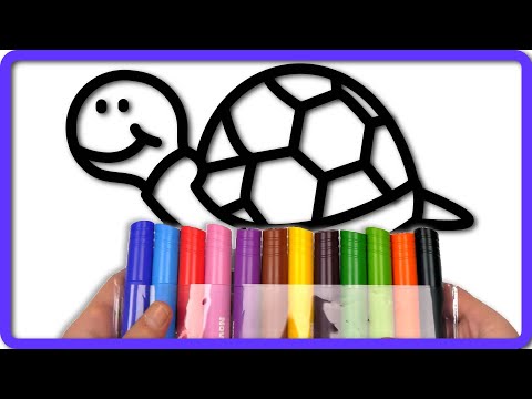 ( ANIMALS )🐢🎨 Dive into Creativity with Our Turtle Coloring Page! 🌈✨ / Akn Kids House