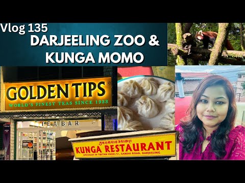 KUNGA Tibetan Food in Darjeeling| Darjeeling Sightseeing Zoo|Red Panda| GoldenTips Tea Bar & Tasting