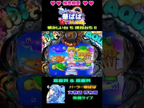 🔥激アツ🔥✨センター7図柄停止✨👋長タッチ👋🐠魚群エフェクト🐠🐬海物語AQUA🐬【 パーラー華ぱぱ・海物語 博物館 】ショート動画 #shorts #ワリン様