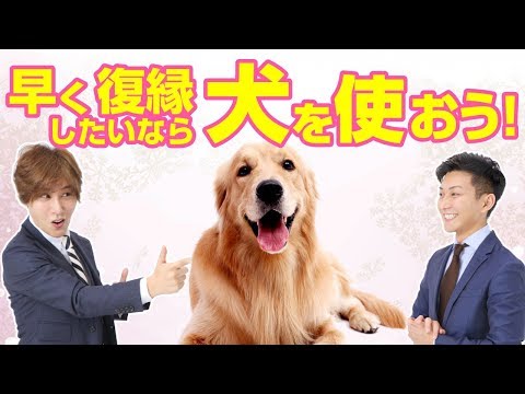 元カノ元カレと復縁が出来ちゃう犬の法則とは！！【立花事務局内復縁係】