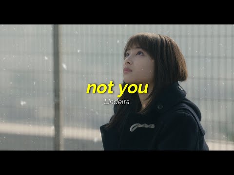 Alan Walker x Emma Steinbakken - Not You (Lindelta Remix)