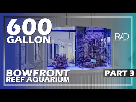 600-GALLON BOWFRONT REEF AQUARIUM BY REEF AQUARIA DESIGN. INSTALLED IN NAPLES, FLORIDA. PART 3