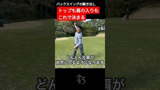 トップの位置も肩の入れ方も自然と決まるバックスイングの動き出し #片山晋呉 #golf #ゴルフ #shorts