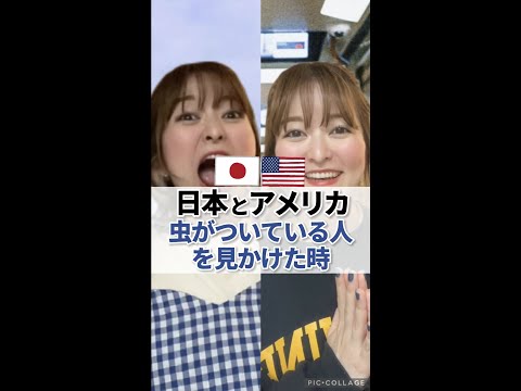 【日本とアメリカ】虫がついている人を見かけた時が違いすぎる!? #shorts