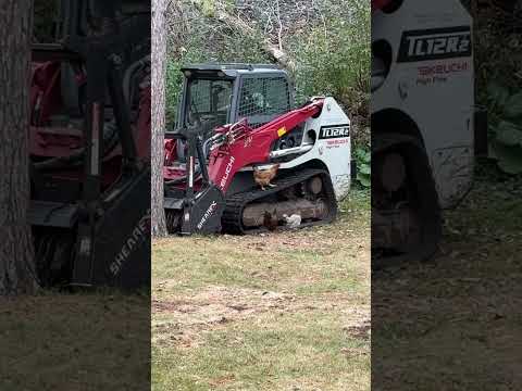 Chickens Inspect Skidsteer #youtubeshorts #backyardchickens #shorts #short @BulldogTractor