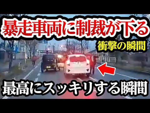 暴走フィットついに制裁、調子の乗った結果、このあと最高にスカッとする瞬間【閲覧注意】交通事故・危険運転 衝撃の瞬間【327】