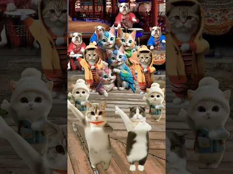 Cats vs. Music: The Ultimate Dance-Off#shorts #cat #dance #ai #funny #catdance #trending#comedy