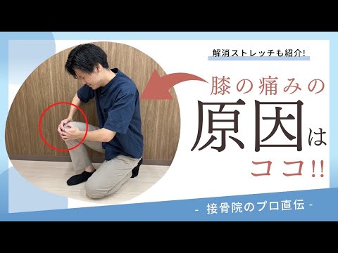 【膝の痛み〜内側側副靭帯損傷〜】スポーツで怪我した後の痛み、歩いているとガクッと内側に痛みと動揺性が起きる方へのストレッチとケア方法！｜接骨院のプロが教えるお家セルフケア｜テラピスト接骨院