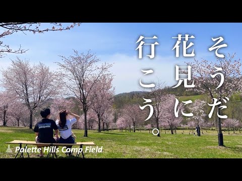 【花見キャンプ】2000本の桜を見ながらキャンプ飯を作る至福のひと時〜北海道キャンプ〜