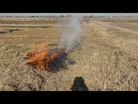 【畑の草を焼却します】風も穏やかなので助かります