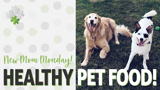 Healthy Pets and Finding Healthy Pet Food | New Mom Monday