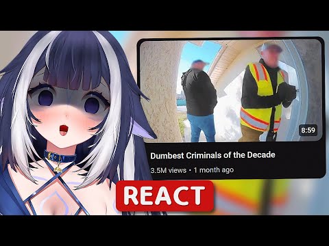 Shylily Reacts to Most Stupid Criminals of the Decade - Daily Dose of Internet