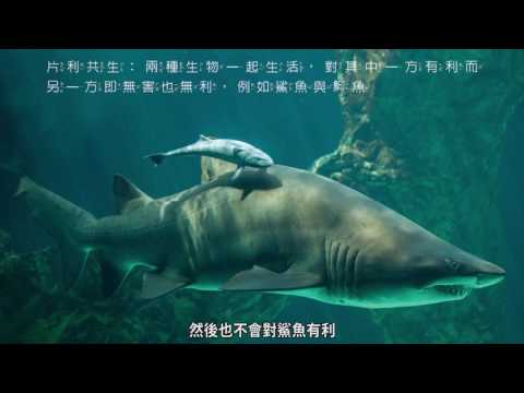 Basic生物篇＿生態圈 14