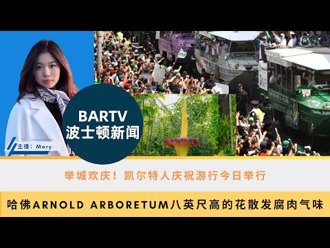 【波士顿新闻】6/21 举城欢庆！凯尔特人庆祝游行今日举行丨哈佛Arnold Arboretum八英尺高的花散发腐肉气味丨大火一夜之间烧毁麻州Brockton的多家商铺