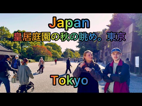 [4K HDR] Autumn Walking Tour in Tokyo JR Station / Imperial Palace Garden.  Tokyo , Japan.