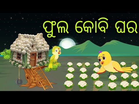 ଫୁଲ କୋବି ଘର | Fula Kobi Ghara | Tiki Chadhei Gapa | Odia Chadhei Gapa | New Story