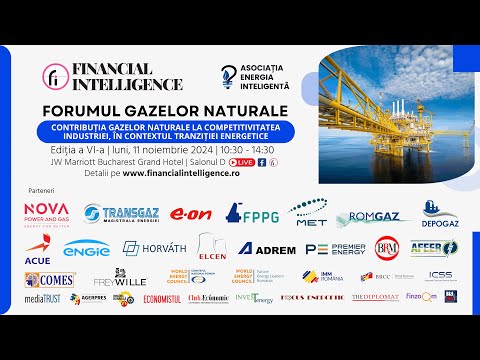 FORUMUL GAZELOR NATURALE by Financial Intelligence