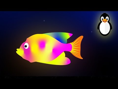 Baby Sensory Video - Under the Sea! High Contrast Sea Creatures for Visual Stimulation