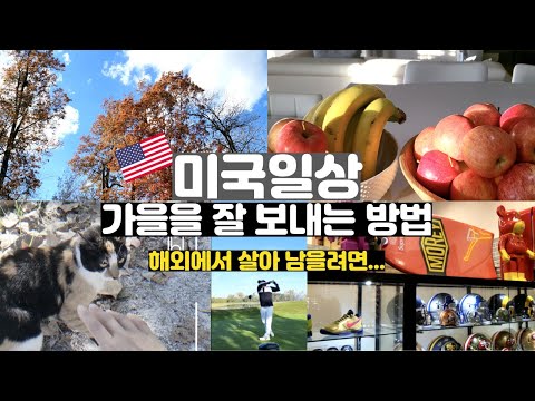 ✨ 눈부신 가을 즐기는법 (Life in USA) 🌼 가을브이로그