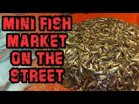 MIND-BLOWING Mini Fish Market Secrets Revealed!