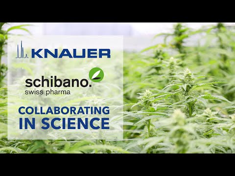 KNAUER & Schibano - Collaborating in science