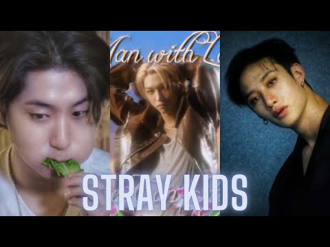 Stray Kids 스트레이 키즈 tiktok  ⭐  #4