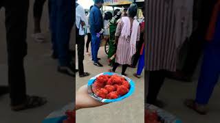 Chainese Pakoda #raipur #food #foodie #raipurian #viral #foodlover #vlog #blog #video #blog #shorts