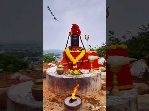 ஓம் நமச்சிவாய  #shiva #love #shivshankar 🙏