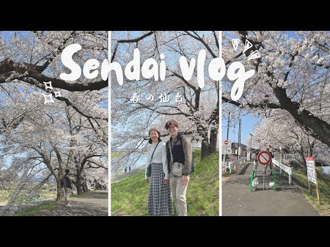 【 SENDAI VLOG 】Part  ⓷｜宮城人氣賞櫻地「白石川堤一目千本櫻」、日本自駕初體驗、藏王狐狸村、銀山溫泉｜JAPAN 🇯🇵｜VLOG #18