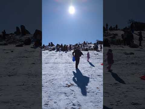 Perisher Valley open day 2023 toboggan #perisher #snowymountains #toboggan  #skiing #snowboarding