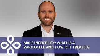 Male Infertility: Everything You Need to Know About Varicocele