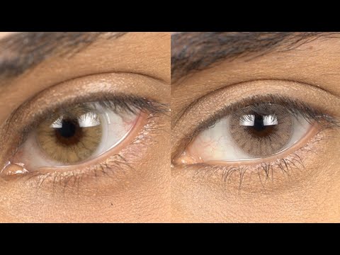 Hazel Colored Contact Lenses | Hidrocor Ocre & Hidrocor Avela