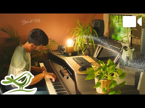 Peder B. Helland - You & Me (Live Performance) | Soothing Sessions