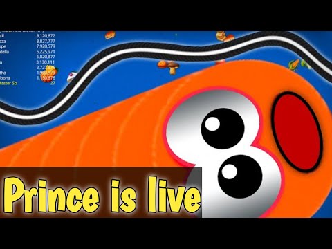 Worms Zone New Skin Gameplay