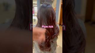 Plum rich hair color Kaise Kare #shorts #shortsfeed #shorts #hair #haircare #hairtips #noida