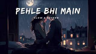 PEHLE BHI MAIN: 😍😘ANIMAL(SLOWED & REVERB)| Ranbir Kapoor &Tripti Dimri |#animals #lofi #love