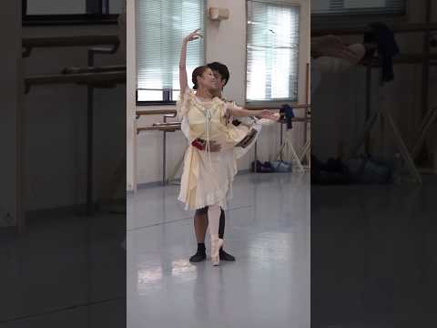 【くるみ割り人形】クララ:須谷まきこ　/ Makiko Sutani クリストフ:新井悠汰/Yuta Arai #ballet #nbaバレエ団 #dance #shorts