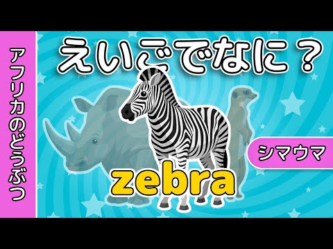 英会話 | アフリカのどうぶつ｜えいごでなに | レッド キャットリーディング